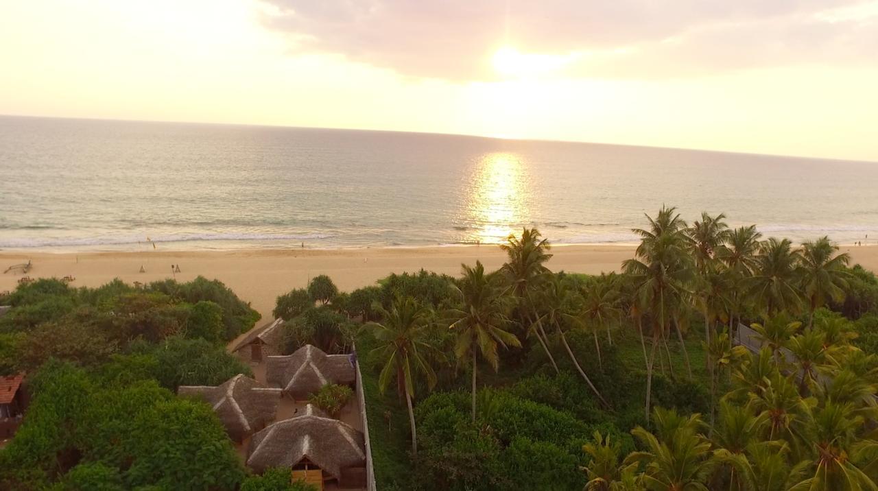 Jungle Beach อาฮังกัลลา ภายนอก รูปภาพ