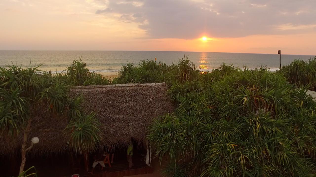 Jungle Beach อาฮังกัลลา ภายนอก รูปภาพ