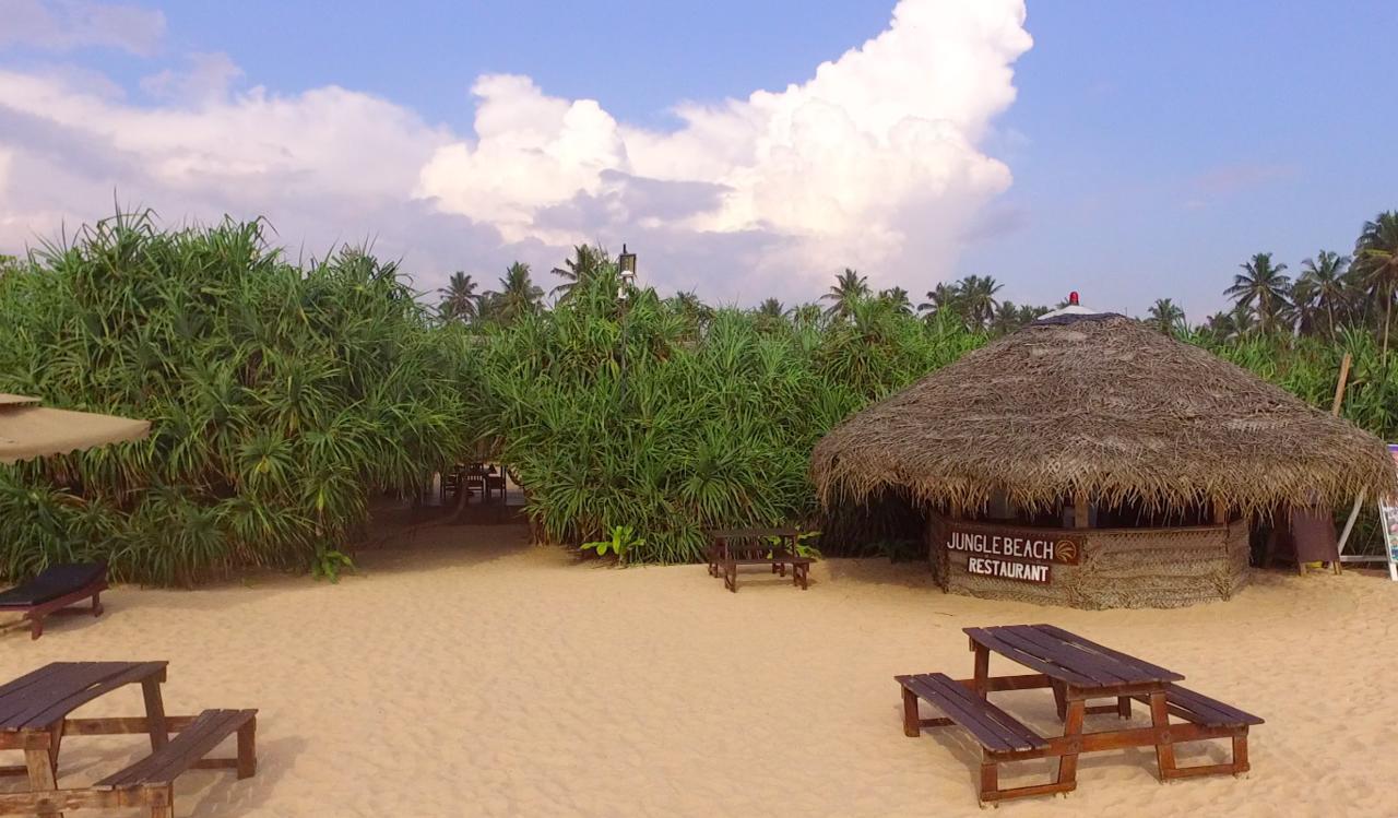 Jungle Beach อาฮังกัลลา ภายนอก รูปภาพ